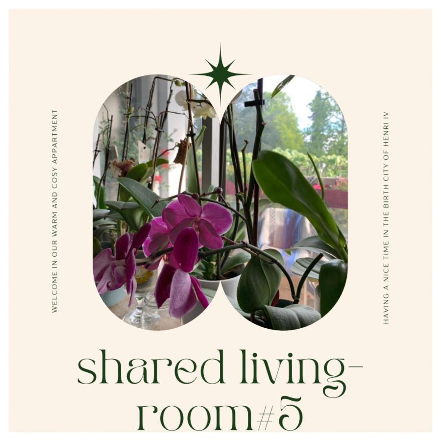 Chez Ramses Et Richelieu Bed & Breakfast Pau Ngoại thất bức ảnh